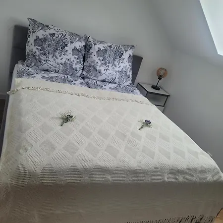 Czarna Perla Chłopy