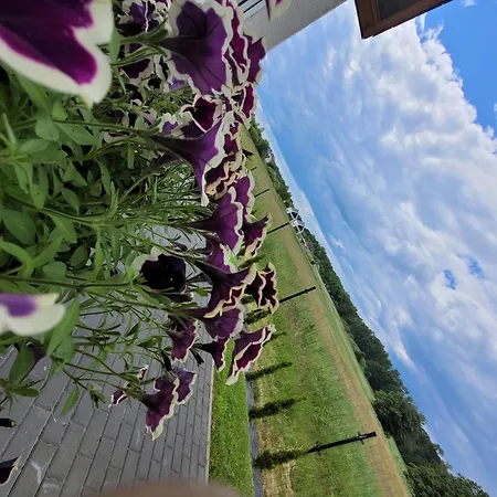 Czarna Perla Chłopy