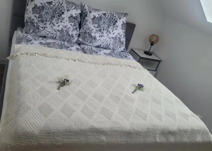 Czarna Perla Chłopy