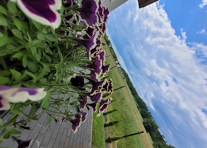 Czarna Perla Chłopy